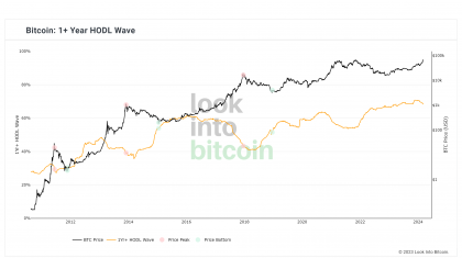 Bitcoin - 1Yr+ HODL Wave.png